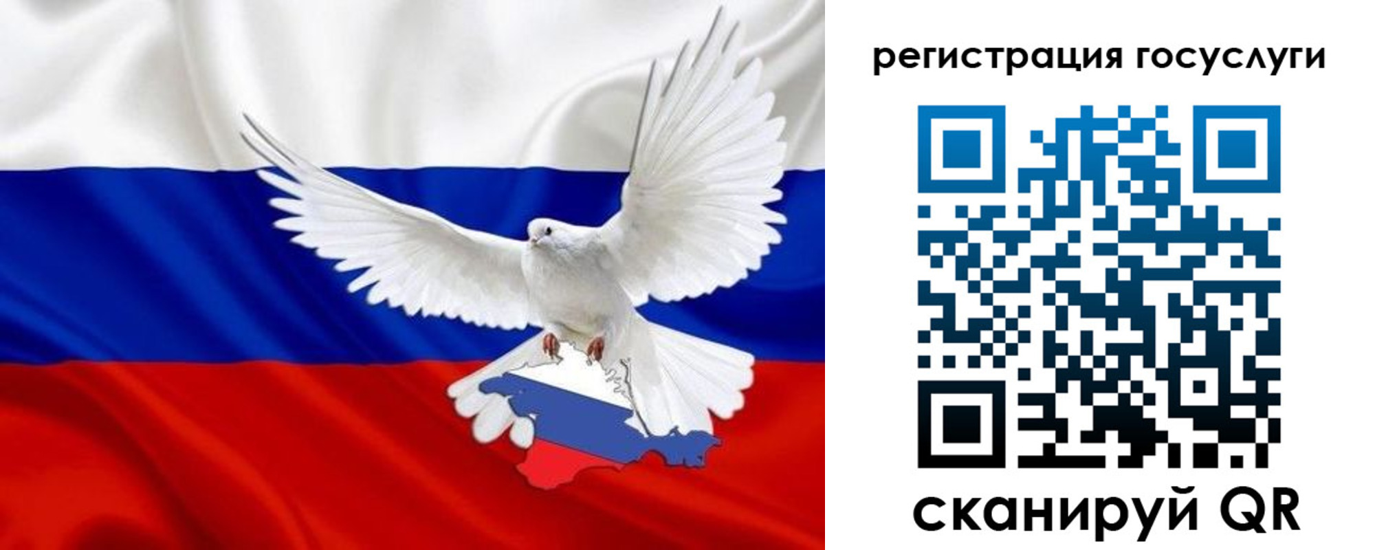 прописка законно в Бородино